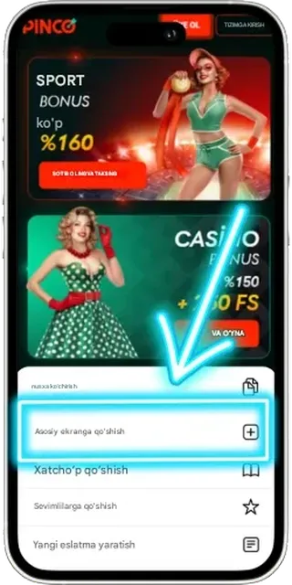 Pinco iOS How To - Add to main screen